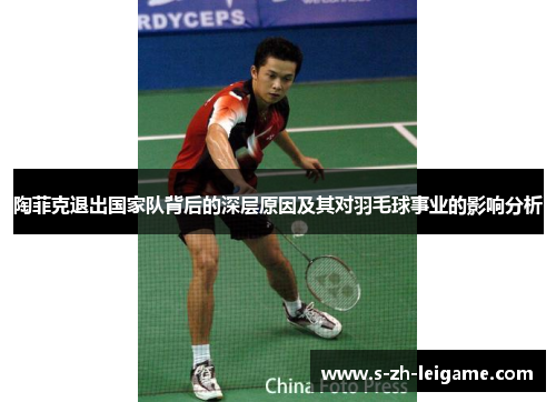 陶菲克退出国家队背后的深层原因及其对羽毛球事业的影响分析