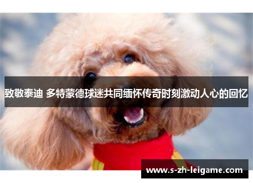 致敬泰迪 多特蒙德球迷共同缅怀传奇时刻激动人心的回忆