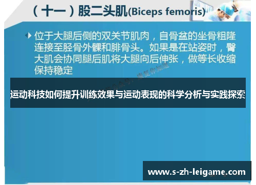 运动科技如何提升训练效果与运动表现的科学分析与实践探索 运动科技如何提升训练效果与运动表现的科学分析与实践探索
