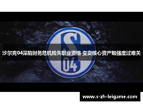 沙尔克04深陷财务危机险失职业资格 变卖核心资产勉强度过难关