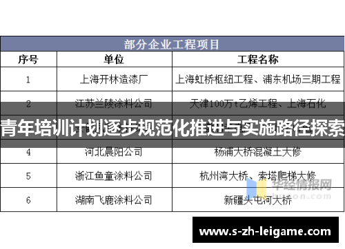 青年培训计划逐步规范化推进与实施路径探索